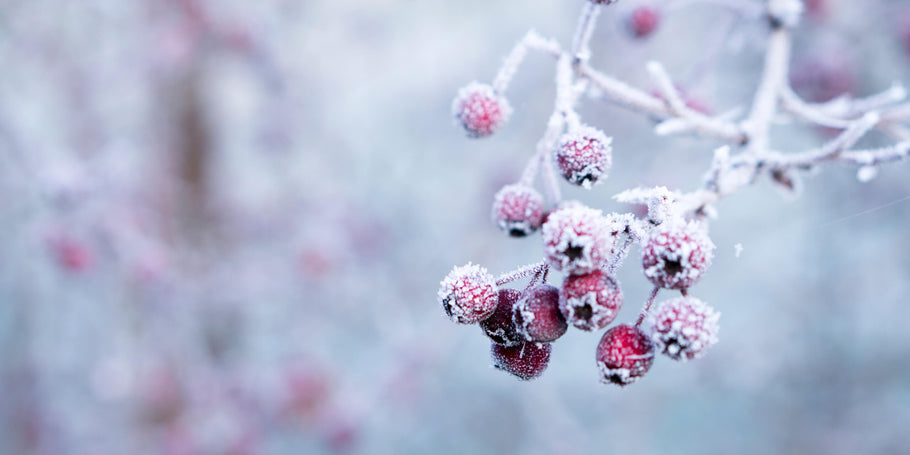 Winter is coming… So says my skin. How to help keep your skin hydrated this winter.